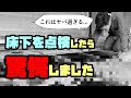 【終了】湿気でカビた合板を剥がして床下を点検したら驚愕の事実が判明しました