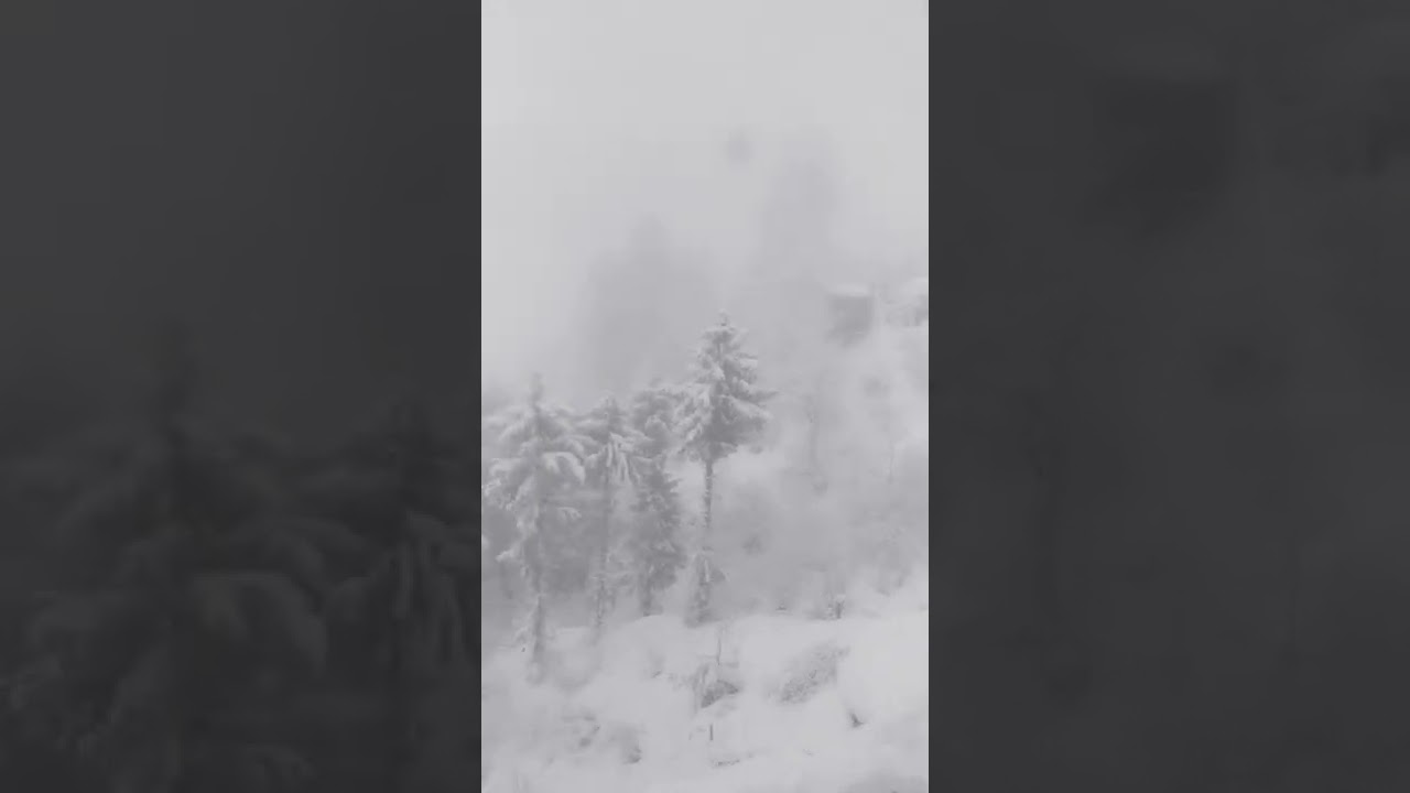 snow in narkanda ooooooomg i met yes smarty pie in kufri 😍😍😍😍😍😍😍😍😍😍😍😍😍🤩