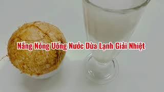 Buổi Trưa Nắng Nóng Uống Nước Dừa Lạnh Giải Nhiệt @HueTranCauQuan