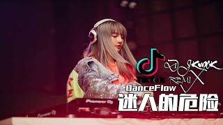 DanceFlow - 迷人的危险【DJ REMIX 最受欢迎的歌曲】KWOK DJ REM1X