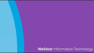 Wellstar IT Interns 2020