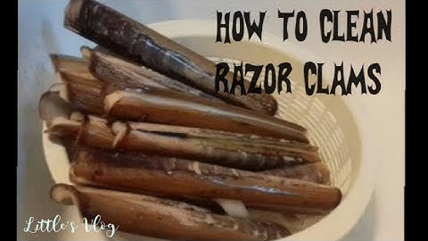 HOW TO CLEAN RAZOR CLAMS #clams #seafood