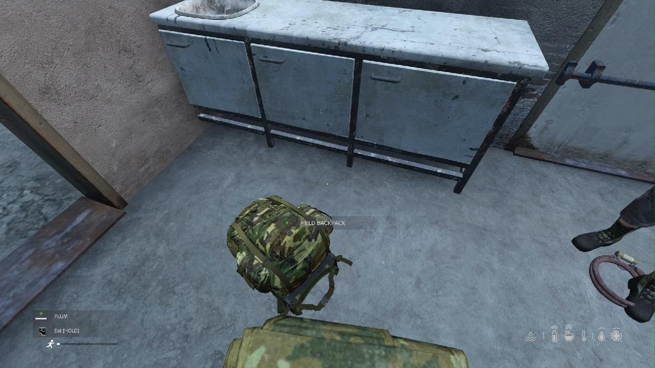 DayZ_ BAG TRICK YouTube