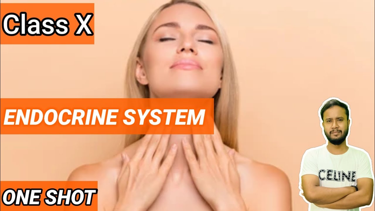 Endocrine System One Shot | Endocrine System ICSE Class 10 | @StudyDNA