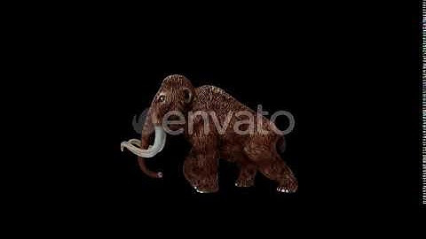 Mammoth Walk | Motion Graphics - Envato elements