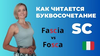 видео: Как Читать Итальянское Буквосочетание SC? ПРАВИЛА ЧТЕНИЯ Для Начинающих картинка: Как Читать Итальянское Буквосочетание SC? ПРАВИЛА ЧТЕНИЯ Для Начинающих