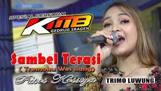 Sambel Terasi (Cover Putri Kristya) KMB MUSIC live Nglano Pandean Tasikmadu