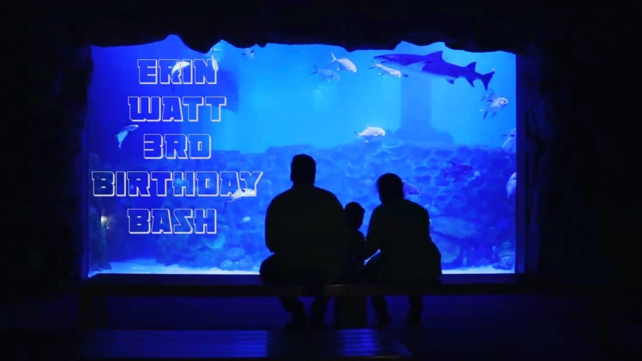 VGP Marine Kingdom | Birthday Celebration | Baby Shark Theme