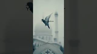 Bi̇ri̇ne Sormuşlar Allahi Ni̇ye Seversi̇n