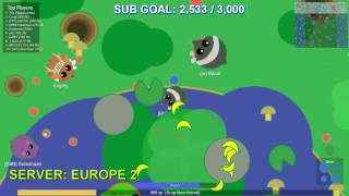 MOPE.IO // BIGGEST GLITCH // GORILLA AND CHEETAH THROW FIREBALLS // SHARK AND ORCA WITH GLITCH
Awesome Talent: BlueBird GD
Info: BlueBird is the guy who helped me creatin new set of MopeX skins. He got a very cool sense of creating color themes. And what you see is what he did by himself. A little supervision from me helped us create very professional looking skins. His channel link is below, please show him some love too. He needs your attention. Thanks - King Agar
Channel: https://goo.gl/k97Nsd
Hey guys, there is the new MopeX Skin Editor interface. You can upload your awesome skins on MopeX server and then let me know. I will publish if the skins are good fit. And then anyone who uses MopeX will see your skins and can play with it. So its now on you how good you are in making new skins. I have the skin requirements displayed on upload screen. Please make sure you read that.
To join me in the game go to follow server:
Server : Sandbox9
MopeX - Ultimate Mods for Mope.io: https://goo.gl/HcAhKf
For skins I use Paint.net : http://www.getpaint.net/index.html MOPE.IO // BIGGEST GLITCH // GORILLA AND CHEETAH THROW FIREBALLS // SHARK AND ORCA WITH GLITCH