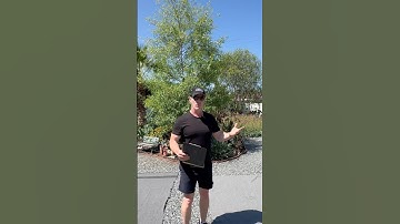 Why Everyone Needs a Wool Blanket in 2025!