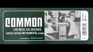 Common, Dooinit Instrumental 2000 Prod. By Dilla Hi-Res Og Vinyl Needledrop