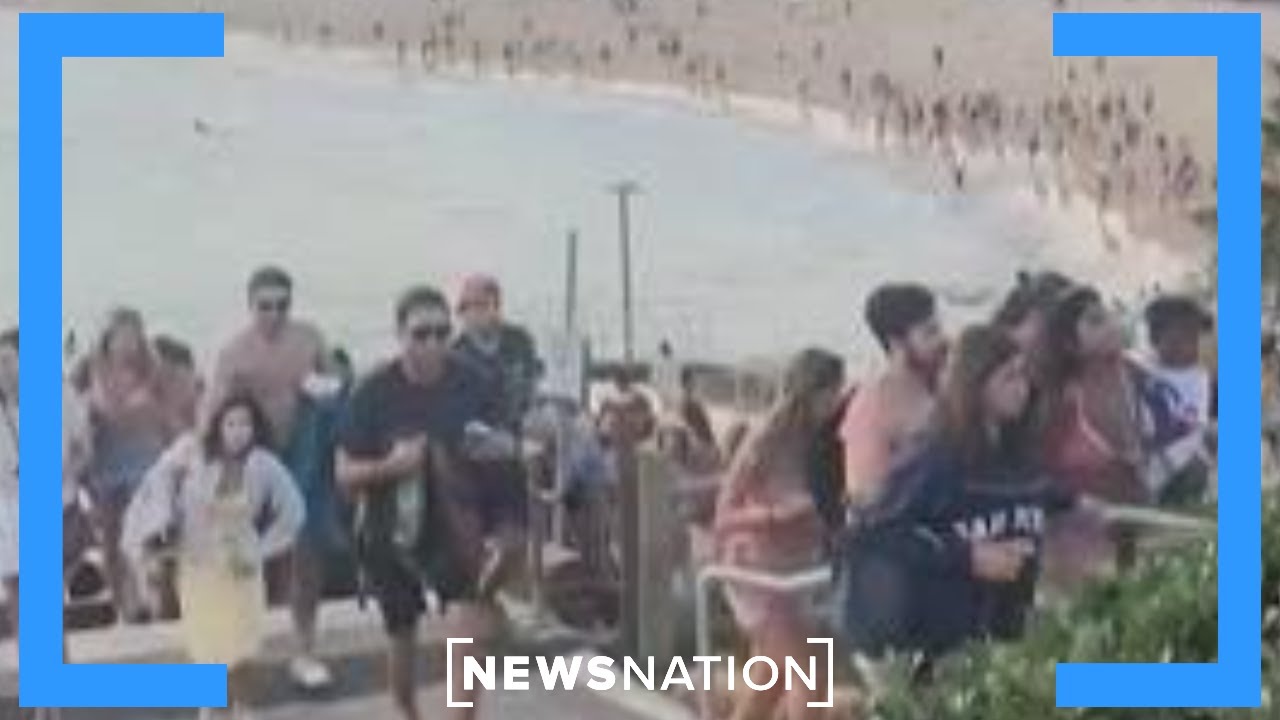 Является ли нападение на пляже Бонди предвестником потенциального насилия в отношении евреев в СШ...