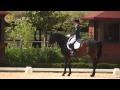 Dressage Test -- Explained in detail by Georg Prause -- Dos Lunas - Sotogrande - May 2013