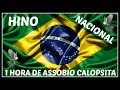 ASSOBIO CALOPSITA - HINO NACIONAL