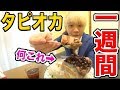 一週間タピオカ生活でどれだけ体重が減るの!?【ダイエット】