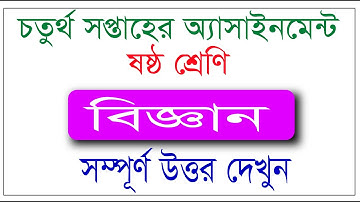 4th week Science Assignment for class Six