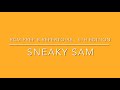 Sneaky Sam by Melody Bober | RCM Prep B Repertoire | Overhead View