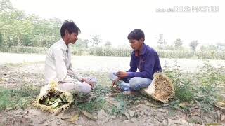 Popular funny videos episode 6 by m k desi comedy screenshot 5