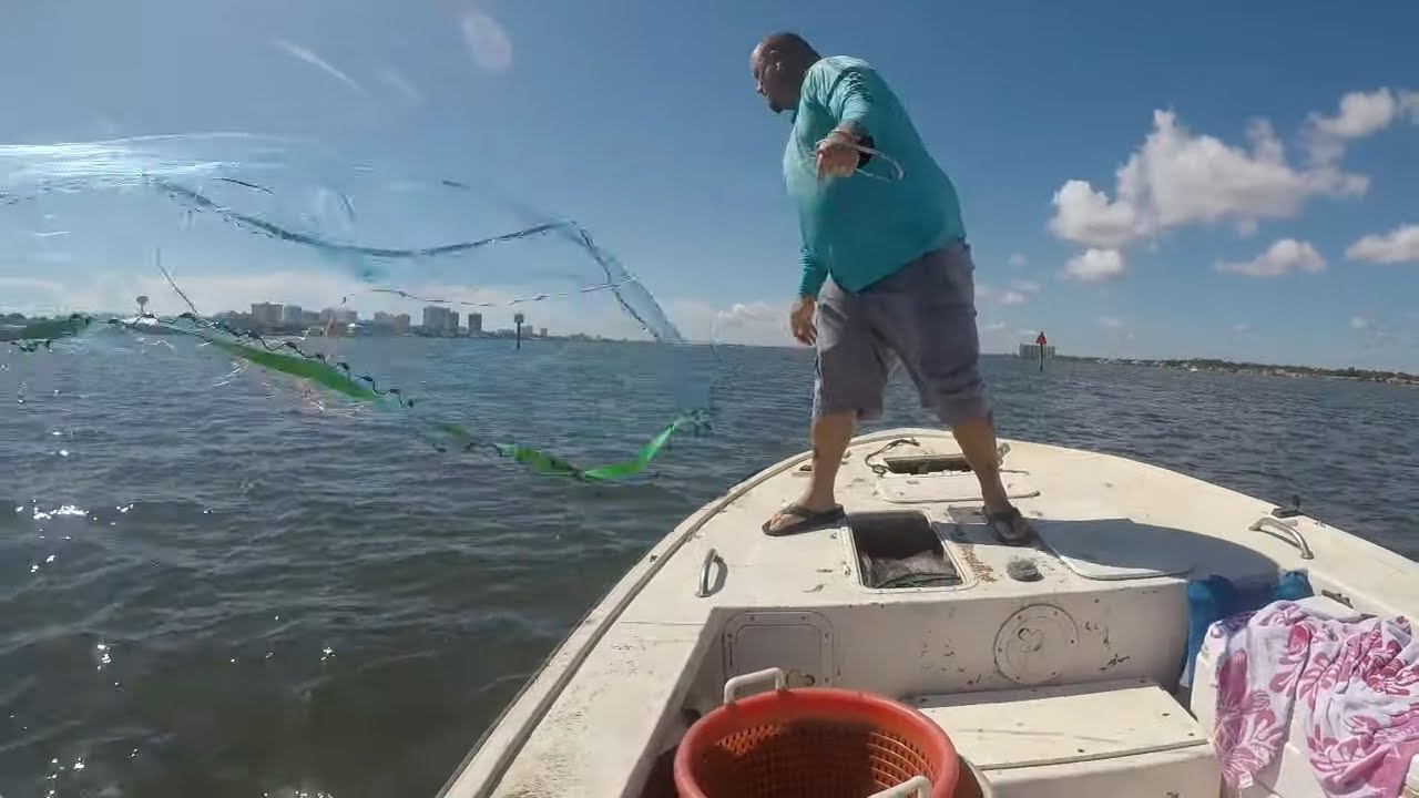4 GALLONS OF SHRIMP IN LESS THEN TWO HOURS..FLORIDA DAYTIME SHRIMPING 4 GALLONS OF SHRIMP IN LESS THEN TWO HOURS..FLORIDA DAYTIME SHRIMPING
