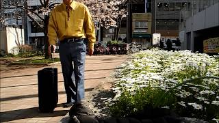 日常使うバッグとして使っています。キャリーバッグを出張などの旅行にしか使っていないのは勿体ないです。