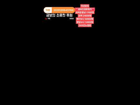 다큐)금보인생 32화 가평1박2일글램핑 #부천#인천#양평#강원도#철구#엄삼용#남캠#bj#신입