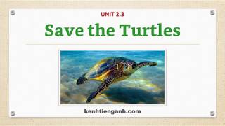[Unit 2.3] Save the Turtles - Listening English Through Dictation