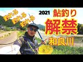 【鮎釣り解禁2021】和良川編!ついに鮎の友釣りが解禁しました!