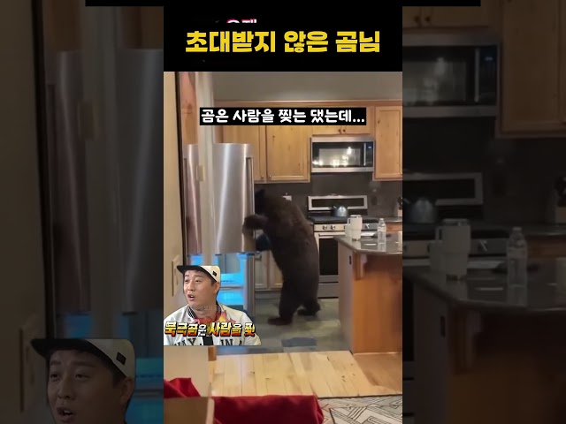 초대받지 않은 곰님