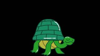 Hide tortoise