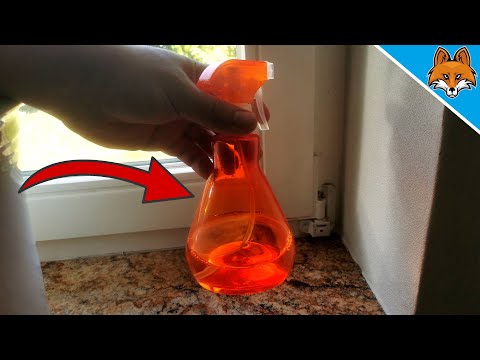DAMIT solltest du UNBEDINGT deine Fenster einsprühen 💥