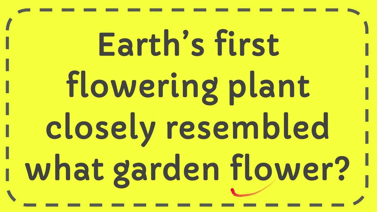 Earth’s first flowering plant closely resembled what garden flower?