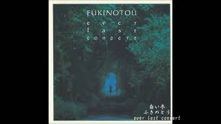 ふきのとう [DREAM PRICE 1000 ふきのとう 白い冬 ] ふきのとう [DREAM