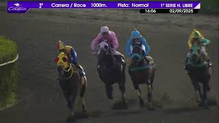 Vidéo de la course PMU PREMIO GRACIOSISIMO