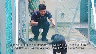 'FACES OF SPF' - K-9 Officer