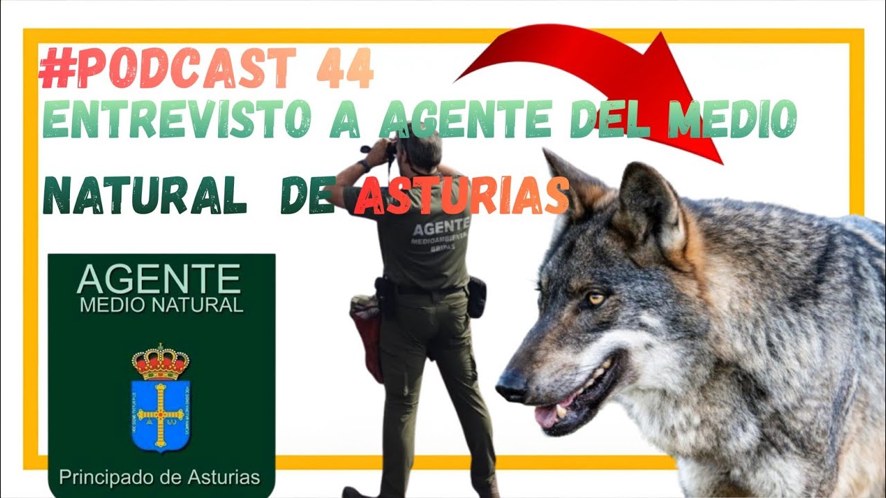 #podcast 44: Entrevisto Agente del Medio Natural de Asturias / FURTIVISMO, LOBO, INCENDIOS y MAFIA