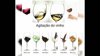 Curso de Prova de Vinhos