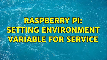 Raspberry Pi: Setting environment variable for service