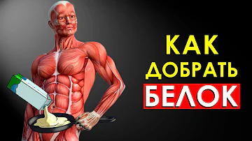 Где самый высокий процент белка