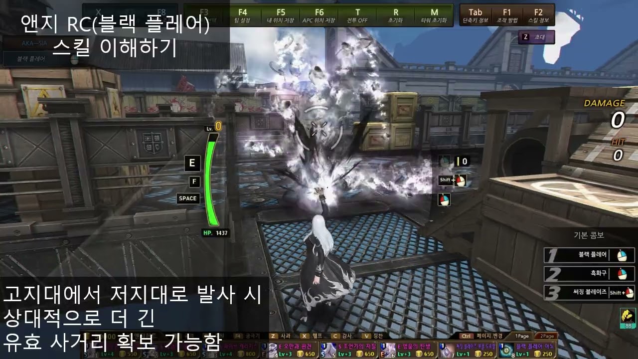 [Cyphers] 내맘대로 스킬 이해하기 - 앤지 헌트 RC(블랙 플레어)