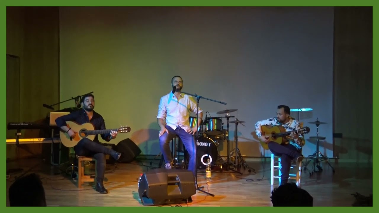 Un nido en mi ventana