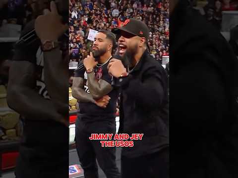 IT S ON We Are Getting THE USOS Vs THE VISION At Wrestlepalooza WWERaw