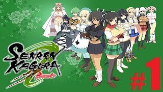 Produtor de Senran Kagura Burst: Crimson Girls (3DS) confirma interesse na  localização do título - Nintendo Blast