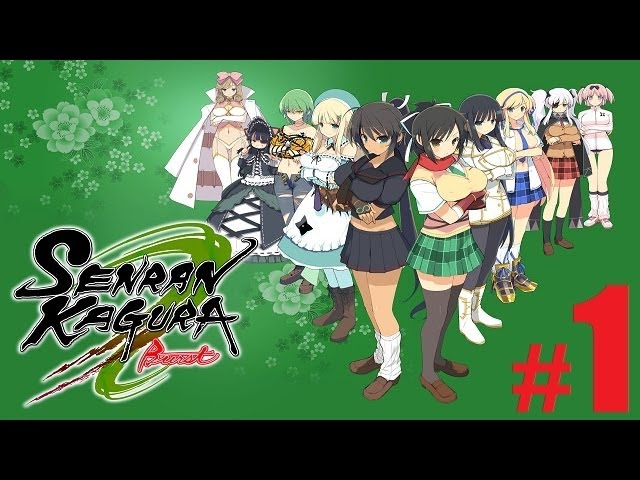 Senran Kagura Burst Guren no Shoujotachi & Shoujotachi no Shinei Nintendo  3DS