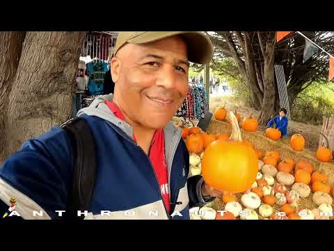 Video: O začinima za muškatni oraščić - odakle potječe muškatni oraščić