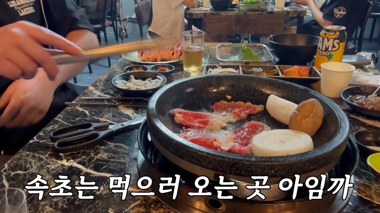 속초는 먹으러 오는 곳 아임까ㅣ애견동반 속초여행ㅣ애견동반식당ㅣ치커리생구이ㅣ문어랑ㅣ반려견동반여행ㅣ애견동반여행