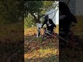 Technical Off-Road Line — One Mistake…