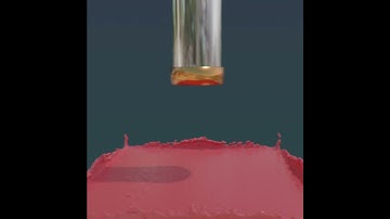Flip fluid Switch node test