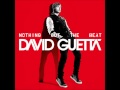 David Guetta Ft Will I Am Nothing Really Matters mp3