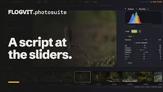Every develop slider, from a script | FLOGVIT.photosuite